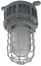 Explosion-Proof Light Std